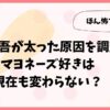 香取慎吾が太った原因を調査！マヨネーズ好きは現在も変わらない？