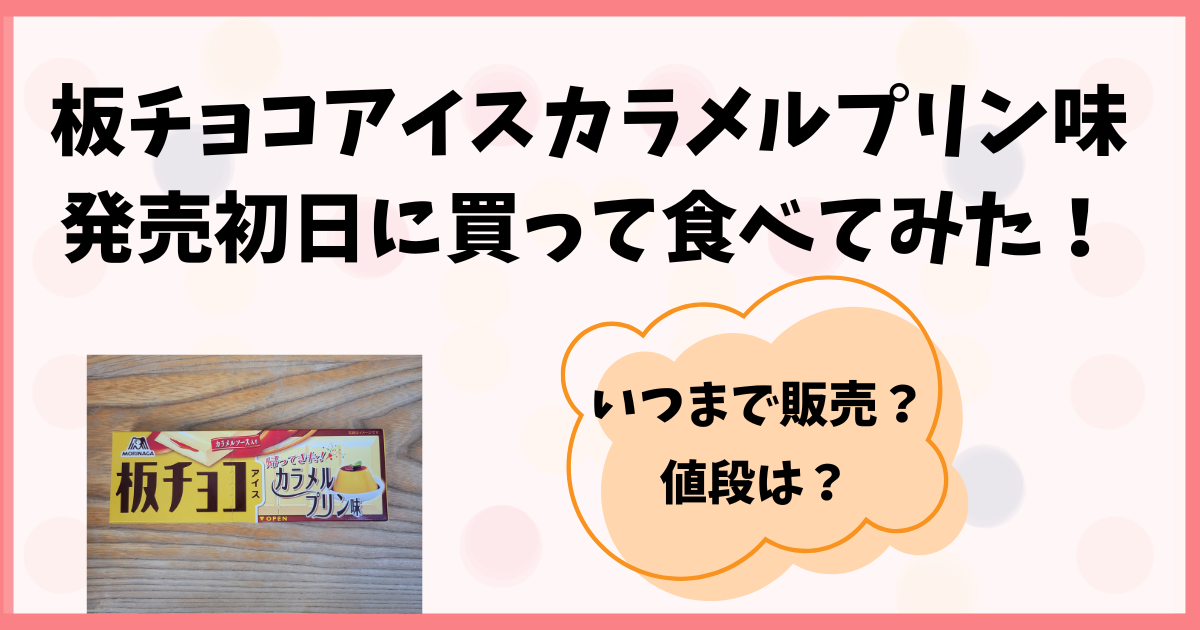 板チョコアイスカラメルプリン味はいつまで販売？発売初日に購入実食！