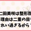 大仁田美咲は整形顔？疑惑の理由は二重の目や鼻がきれい過ぎるから？