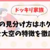 ドッキリ家族の双子の見分け方はホクロ！大地と大空の特徴を徹底比較