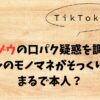 【真相】ヒルゾウの口パク疑惑を調査！ミスチルのモノマネがまるで本人？