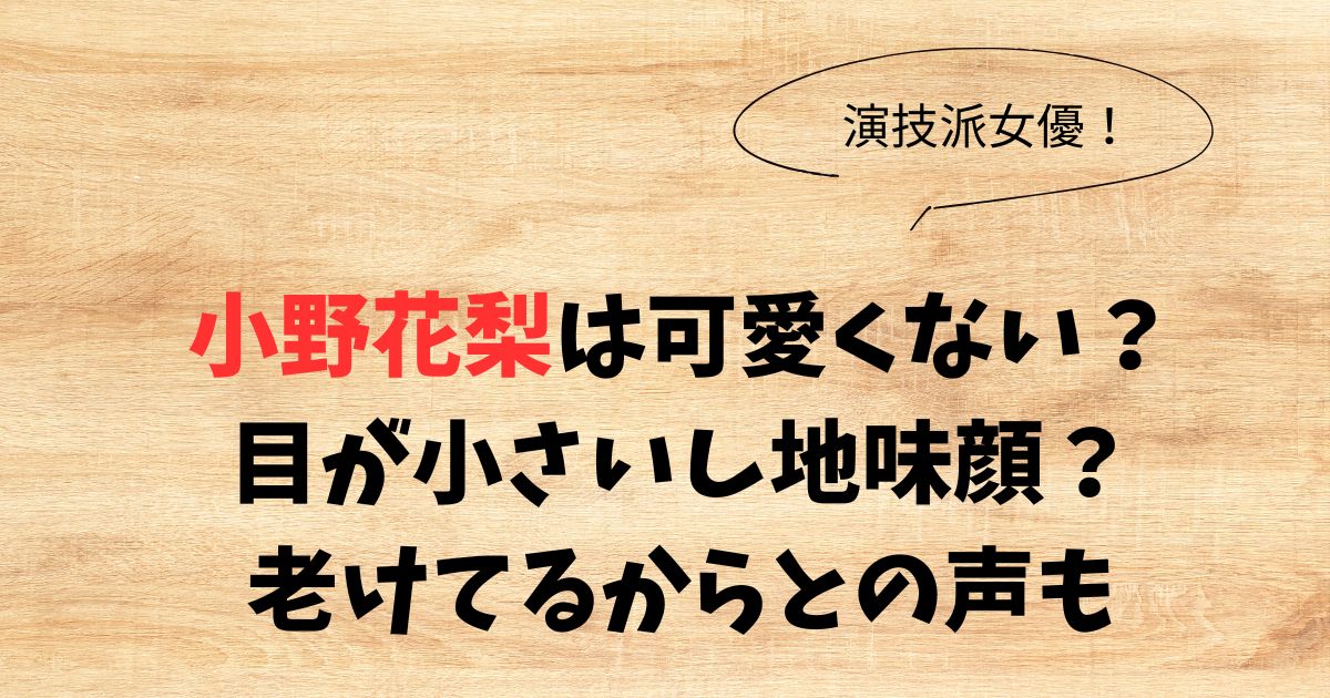 小野花梨は可愛くない？目が小さいし地味顔で老けてるからとの評判も