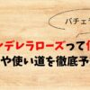 【バチェラー6】シンデレラローズって何？効果や使い道を徹底予想！
