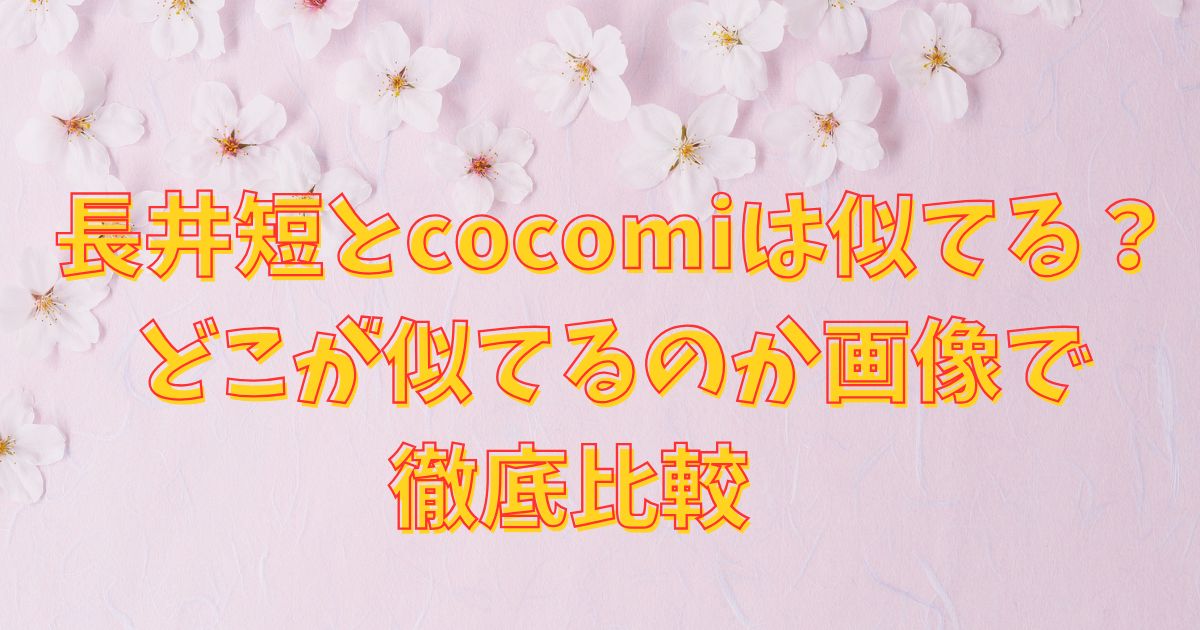 長井短とcocomiは似てる？どこが似てるのか画像で徹底比較